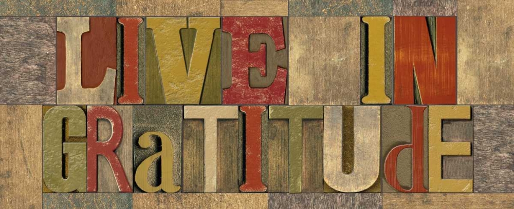 Wall Art Painting id:78048, Name: Live in Gratitude Printer Block Panel, Artist: Reed, Tara