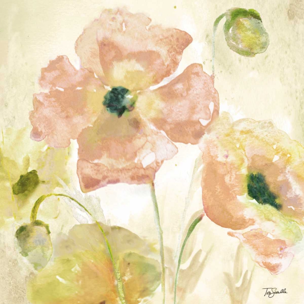 Wall Art Painting id:85206, Name: Watercolor Blush I, Artist: Tre Sorelle Studios