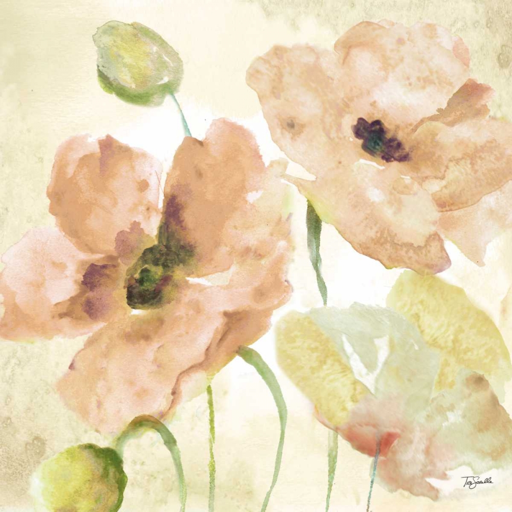 Wall Art Painting id:85207, Name: Watercolor Blush II, Artist: Tre Sorelle Studios