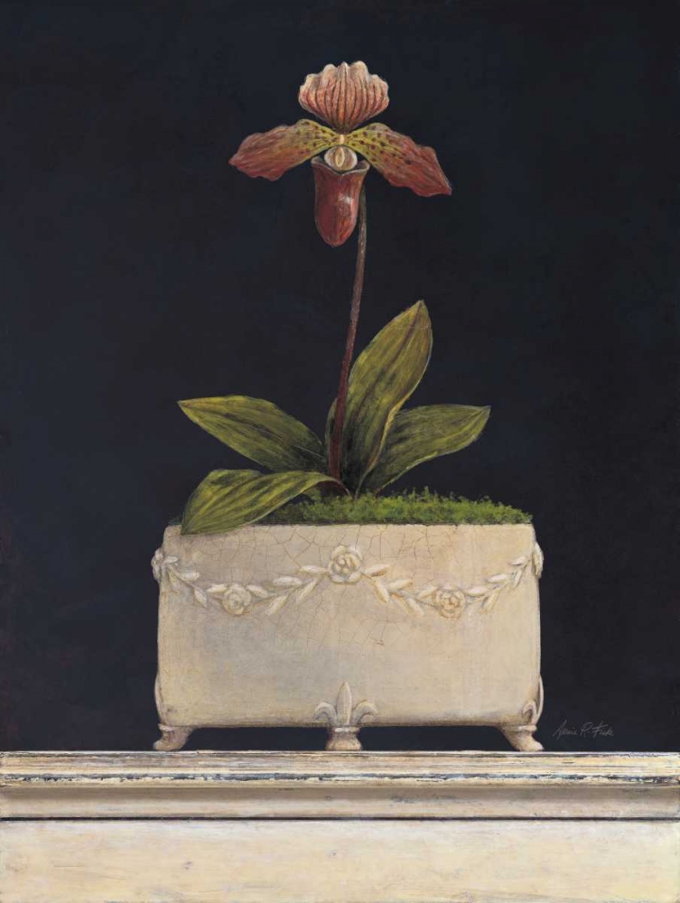 Wall Art Painting id:56210, Name: Plum Sugar Orchid, Artist: Fisk, Arnie