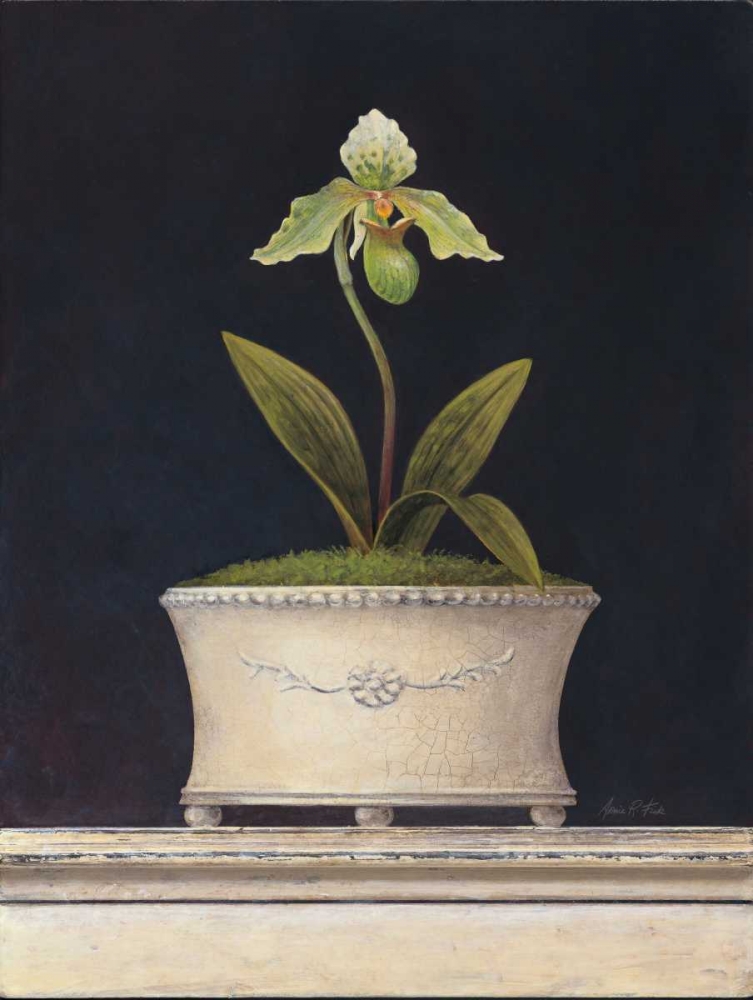 Wall Art Painting id:56215, Name: Chartreuse Sugar Orchid, Artist: Fisk, Arnie