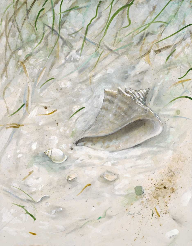 Art Print: Seaside Conch 