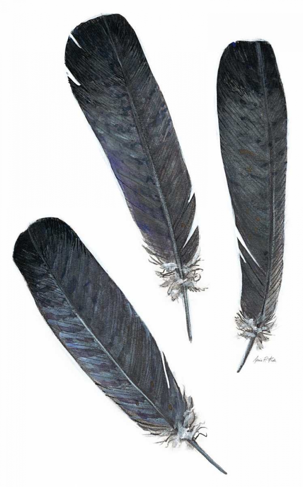 Wall art: Feather Study 2, by Fisk, Arnie