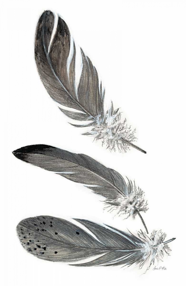 Wall art: Feather Study 3, by Fisk, Arnie