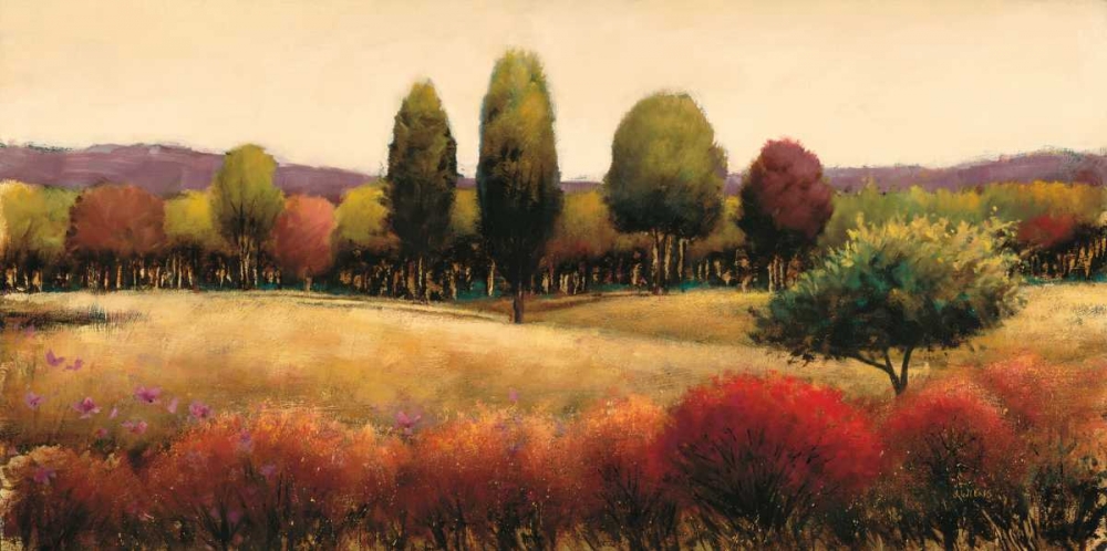 Wall Art Painting id:84851, Name: Vista, Artist: Wiens, James