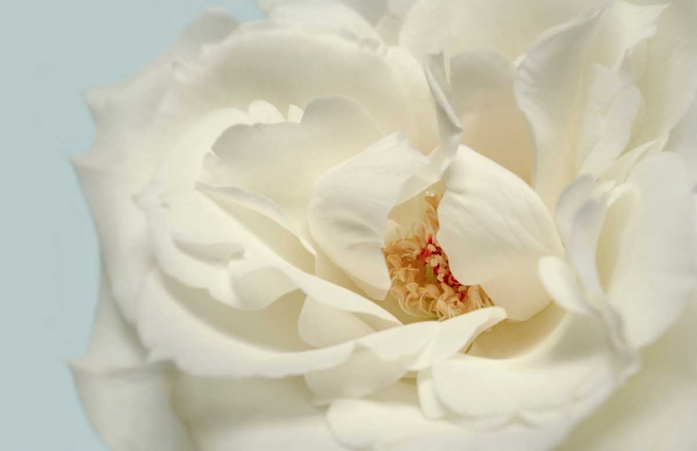 Similar wall art painting: 105585