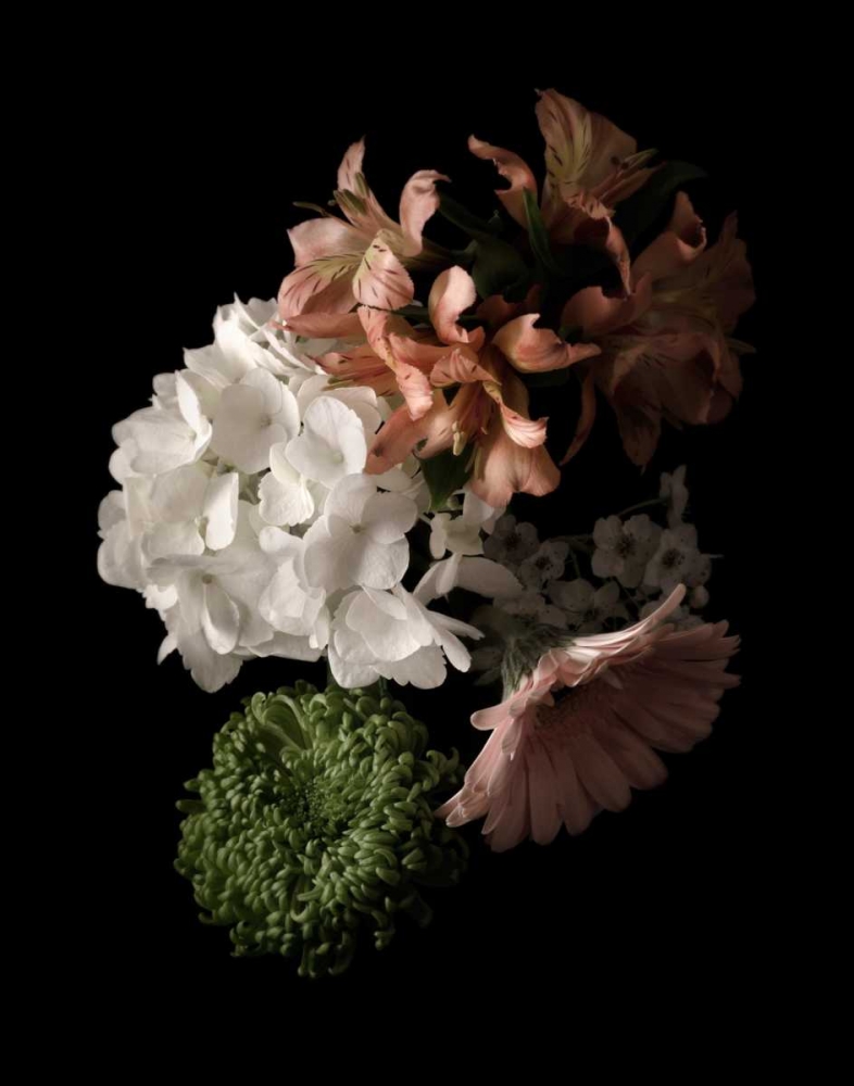 Art Print: Midnight Hydrangea