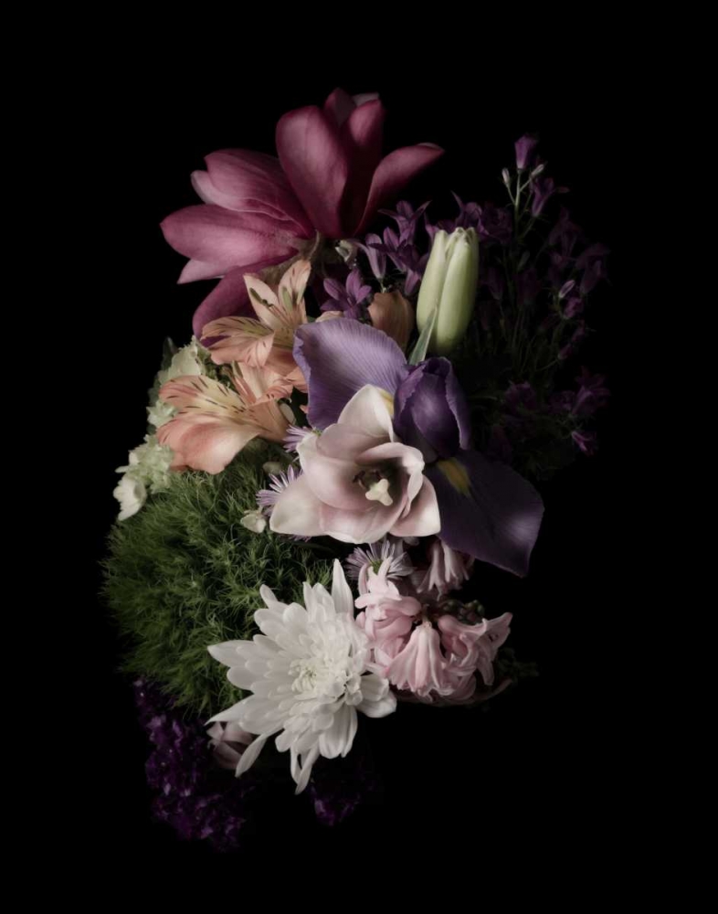 Art Print: Midnight Magnolia