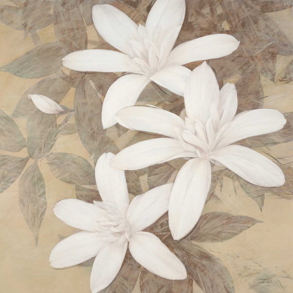 Wall Art Painting id:105835, Name: Modern Cream Blossoms, Artist: Stoyanov, Ivo