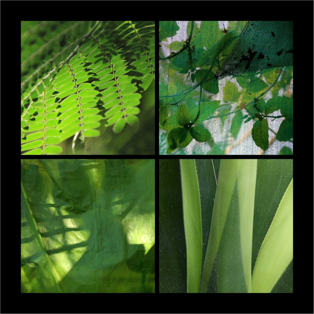 Art Print: Fresh Green