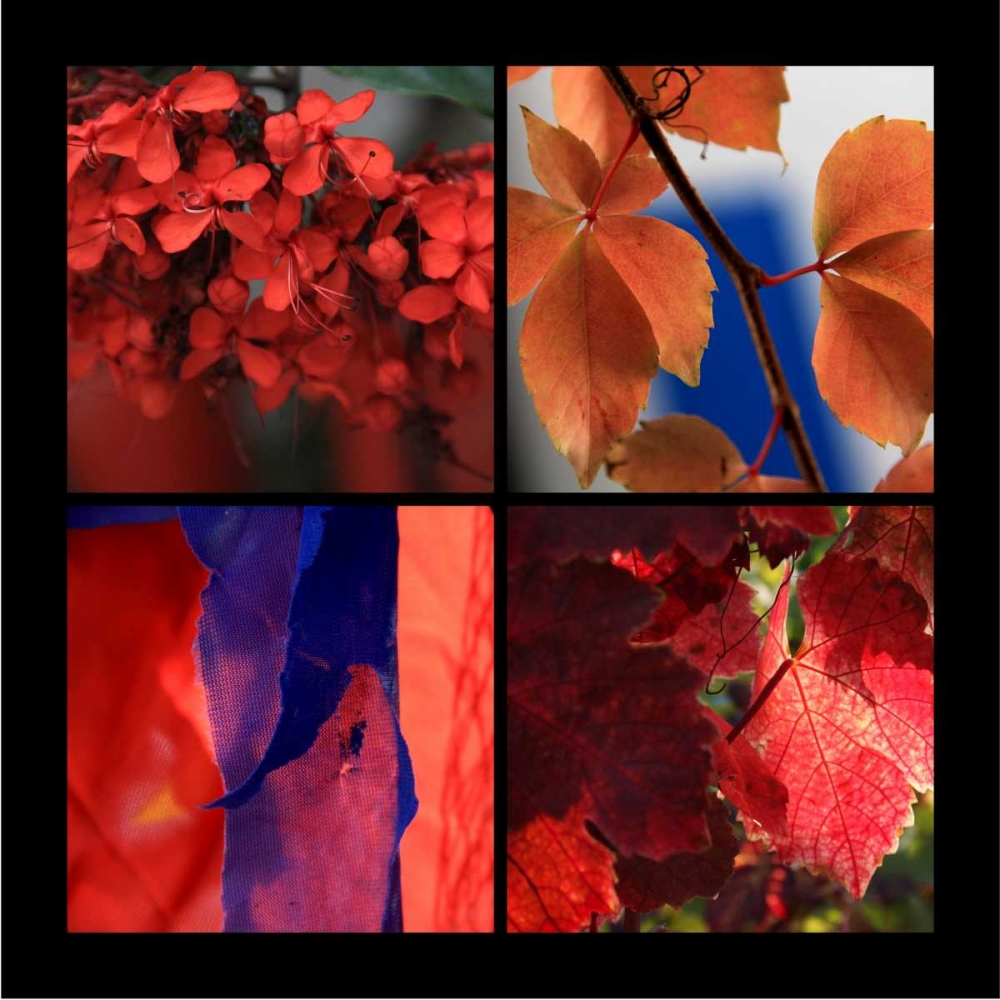 Art Print: Red Autumn