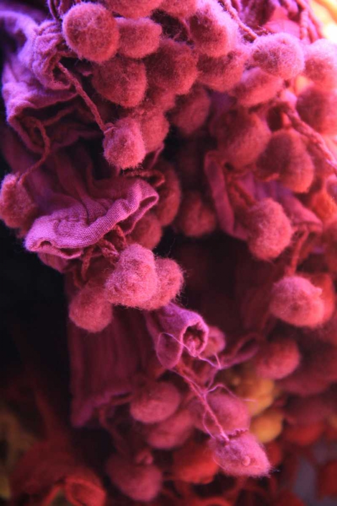 Art Print: Global Pinks 1