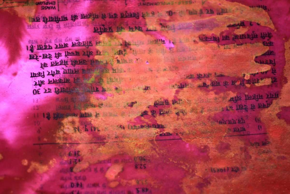 Art Print: Global Pinks 4