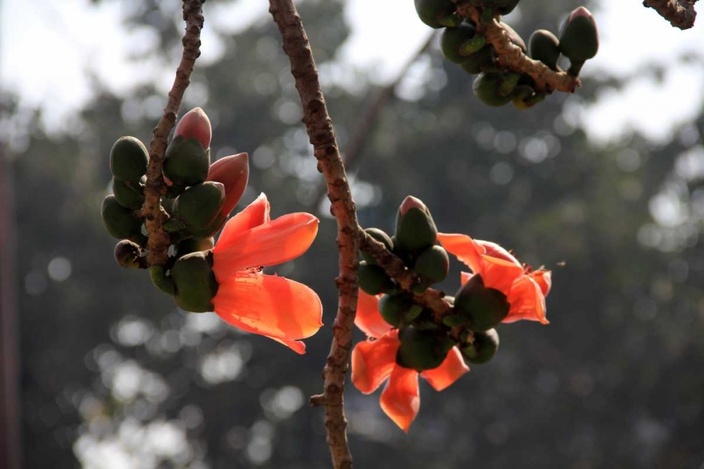 Art Print: Global Vessel 1