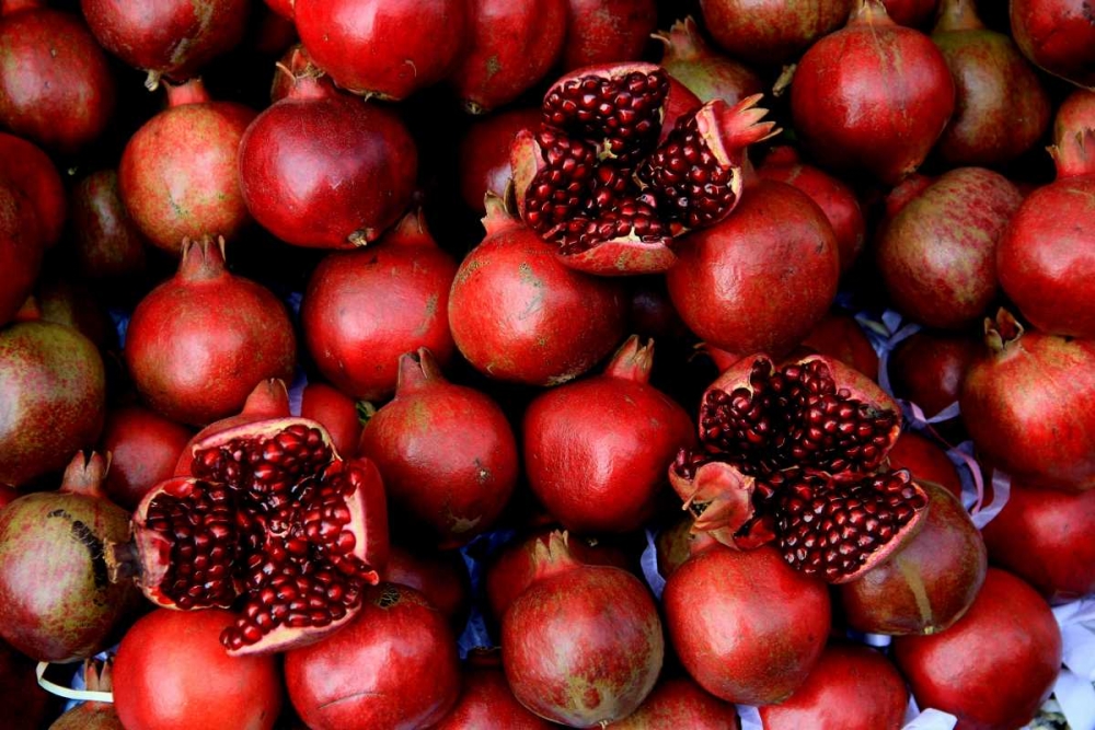 Art Print: Global Spice 1