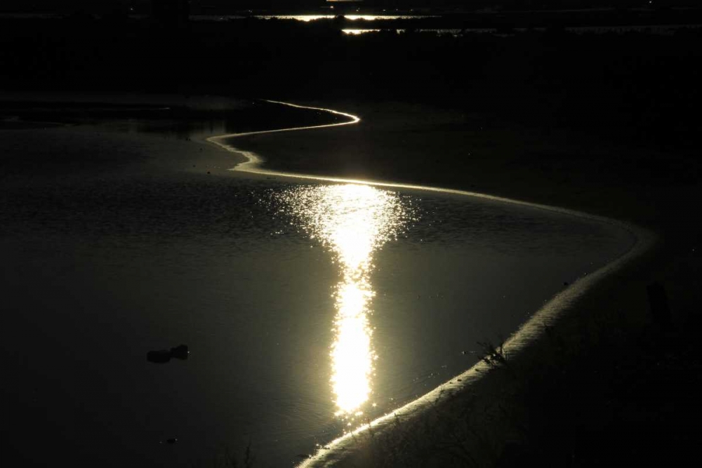 Art Print: Moonlight Enchantment 2