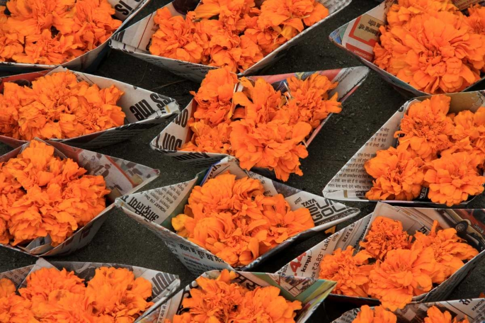 Art Print: Global Orange 1