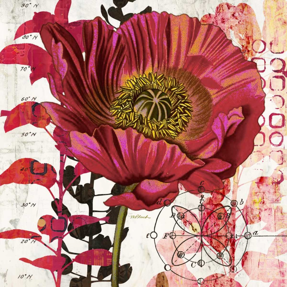 Art Print: Red Poppy Story  