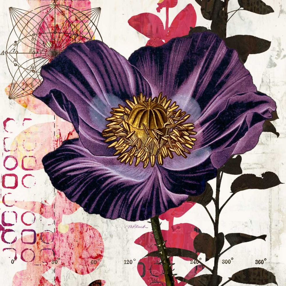 Art Print: Plum Poppy Story