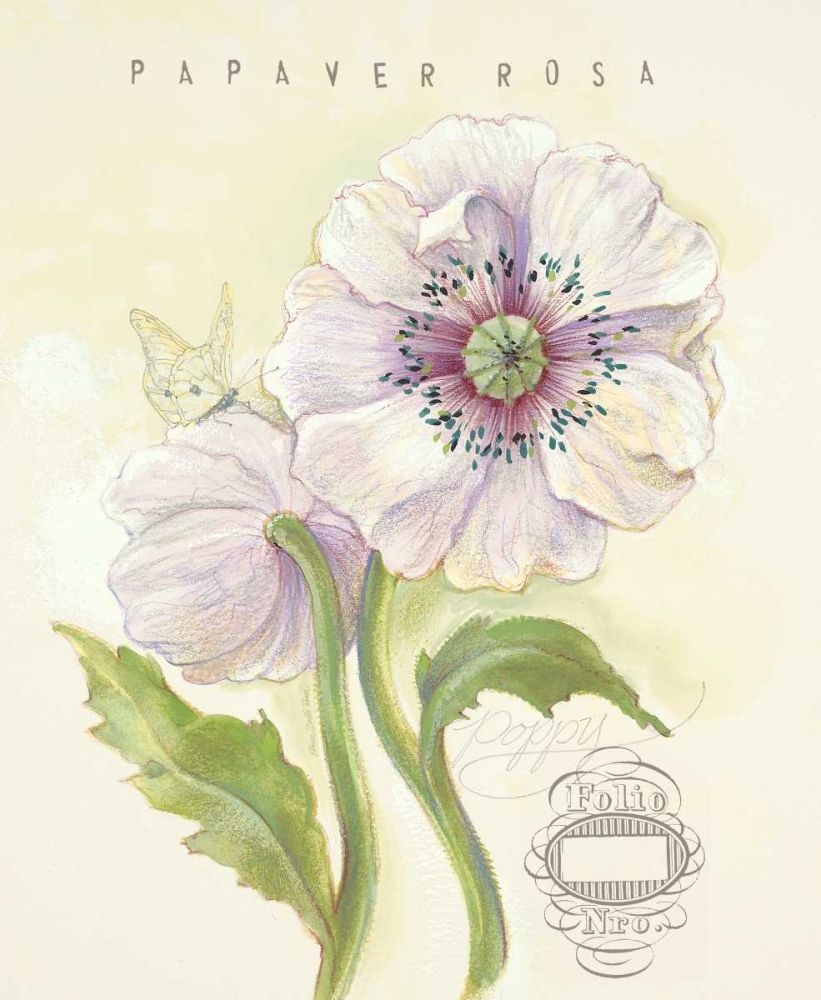Art Print: Claires Garden Poppy