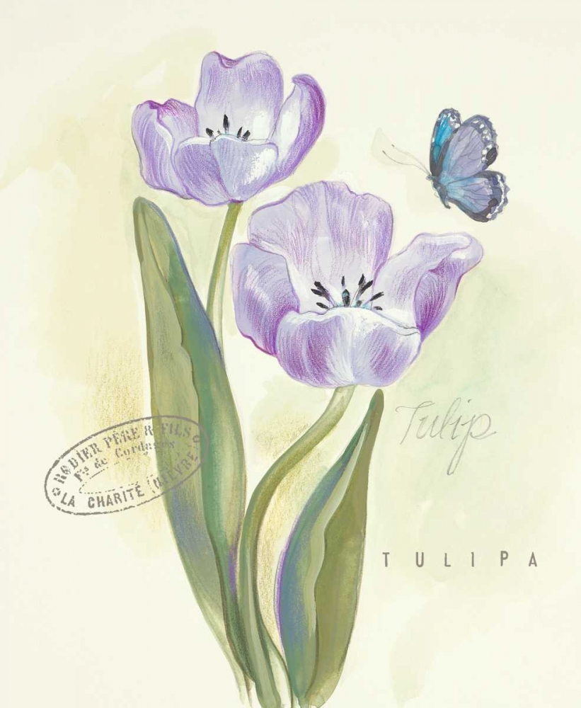 Art Print: Claires Garden Tulip 