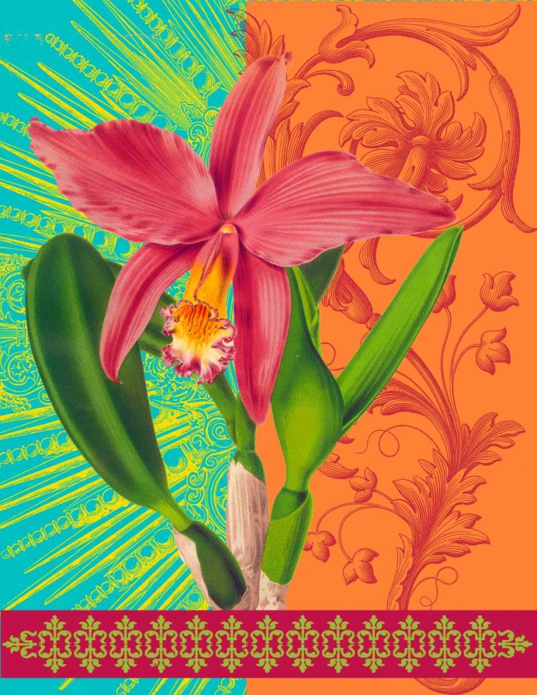 Wall Art Painting id:59585, Name: Radiant Orchid, Artist: Robertson, Walter 