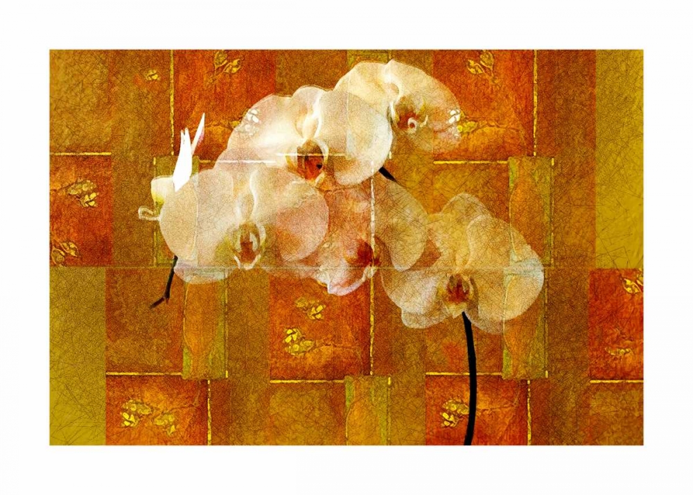 Wall Art Painting id:59594, Name: Sheer White Orchid, Artist: Robertson, Walter 