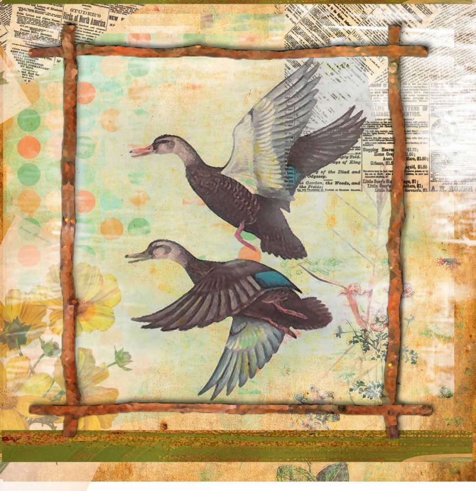Wall Art Painting id:59604, Name: Duck Nature, Artist: Robertson, Walter 