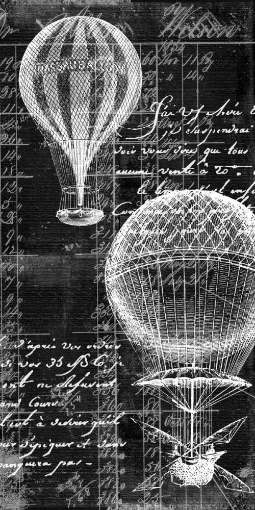 Wall art: Balloon Tandem, by Robertson, Walter 