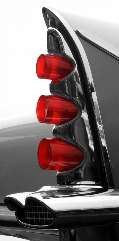 Wall art: Gray Tailfin, by McCarthy, Matt