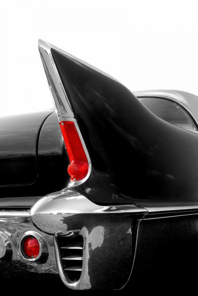 Art Print: Black Tailfin