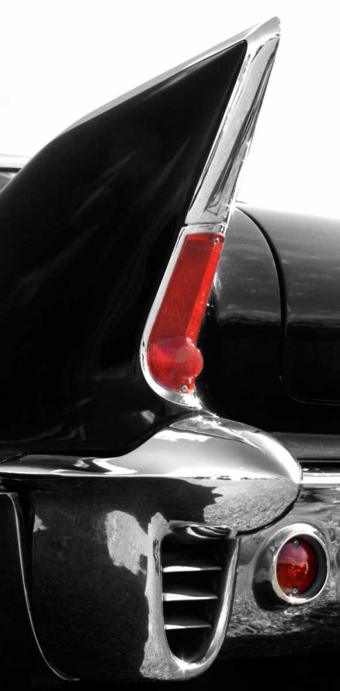 Art Print: Black Tailfin