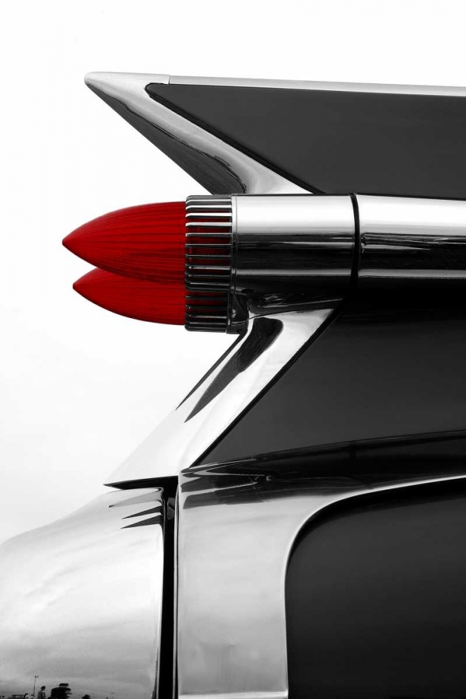 Wall art: Charcoal Tailfin, by McCarthy, Matt