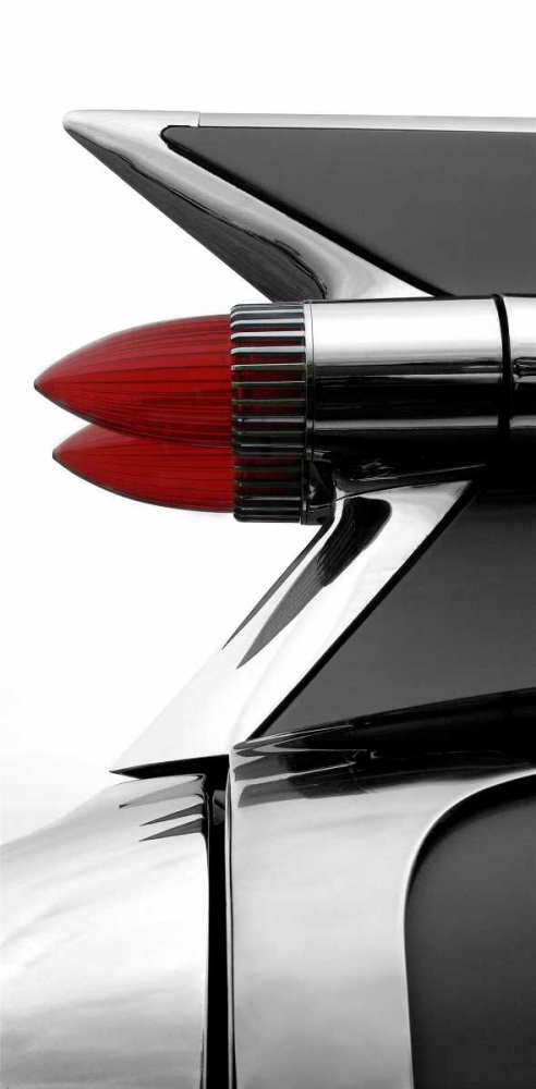 Art Print: Charcoal Tailfin