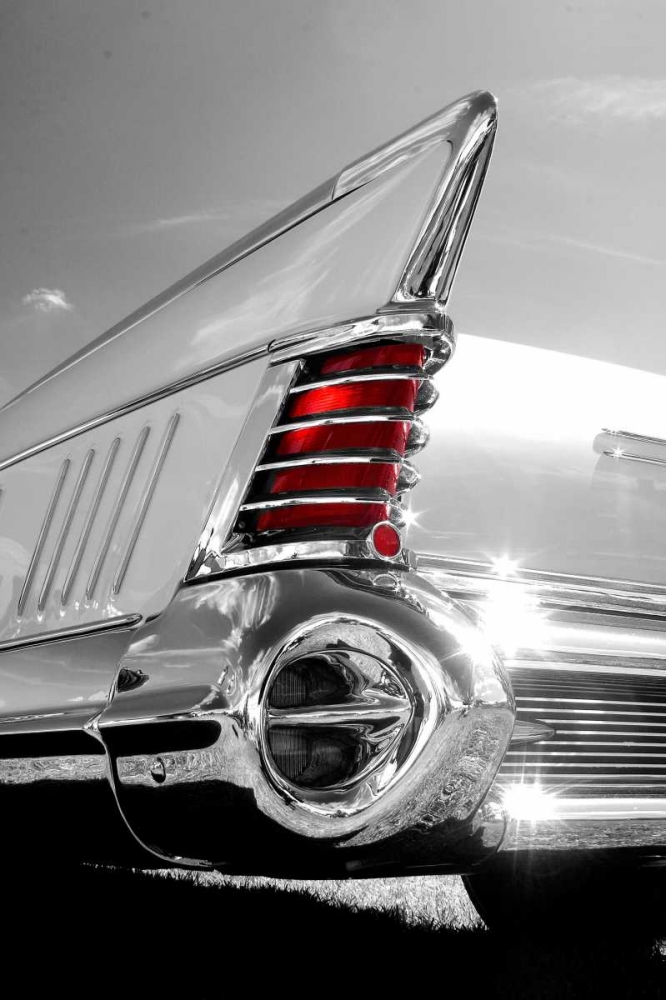 Wall art: White Tailfin, by McCarthy, Matt