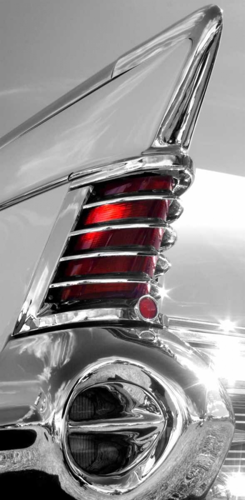 Art Print: White Tailfin