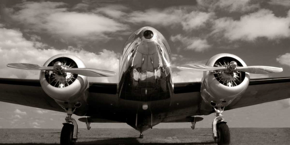 Art Print: Runway Glory