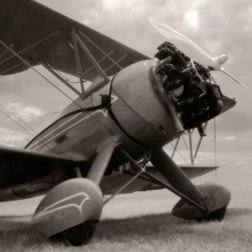 Wall art: Dreams of Flying, by McCarthy, Matt