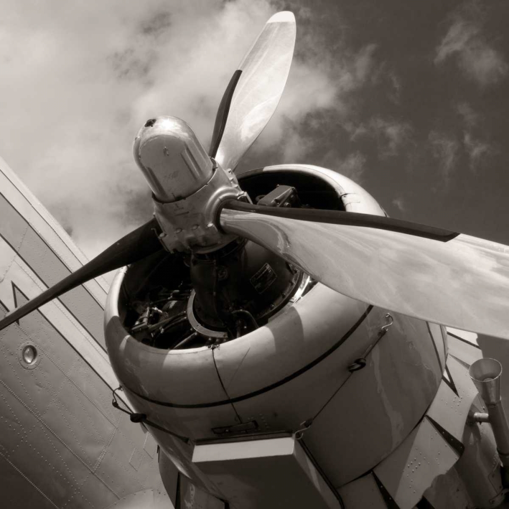 Wall art: Towards the Sky, by McCarthy, Matt