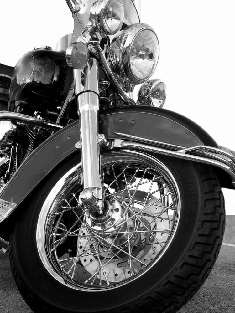 Wall art: Front Fork, by McCarthy, Matt