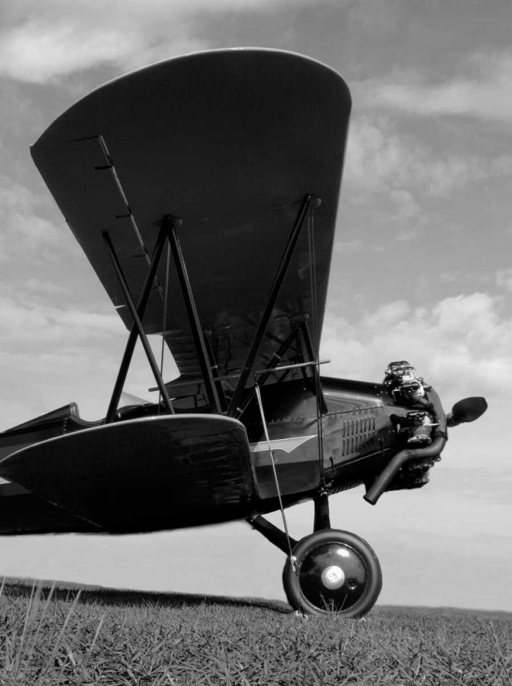 Art Print: Aerial Moment 2