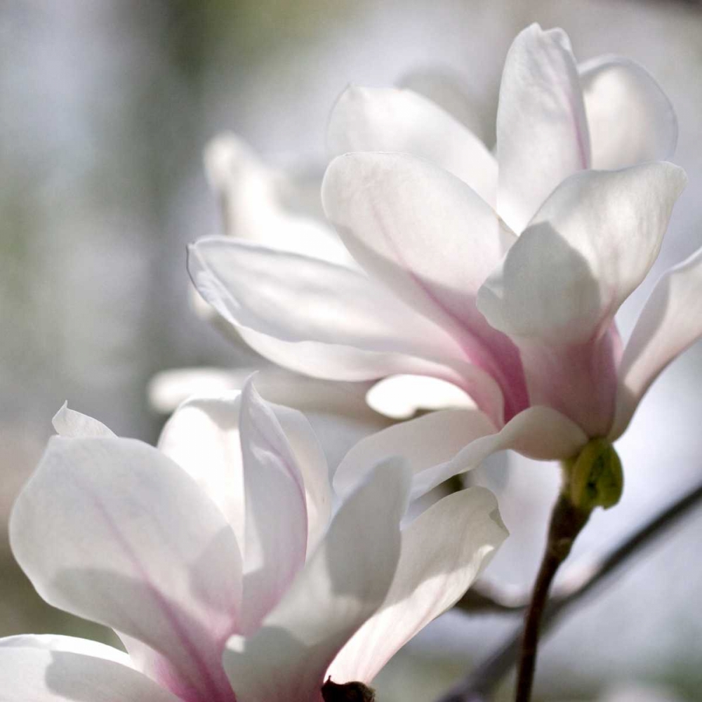 Similar wall art painting: 64783