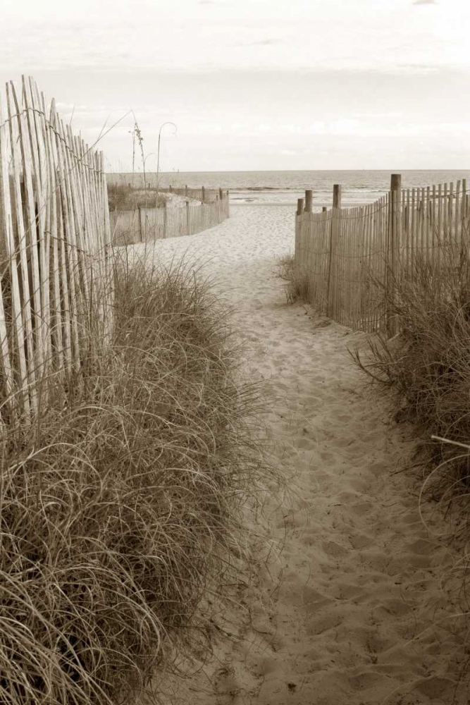 Art Print: Beach Trail 1 