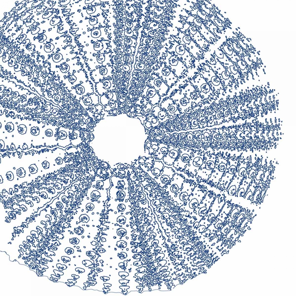 Art Print: Sepia Shell Life 2