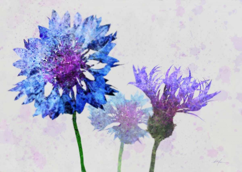 Wall Art Painting id:56525, Name: Colorful Cornflowers 1, Artist: Roko, Ken