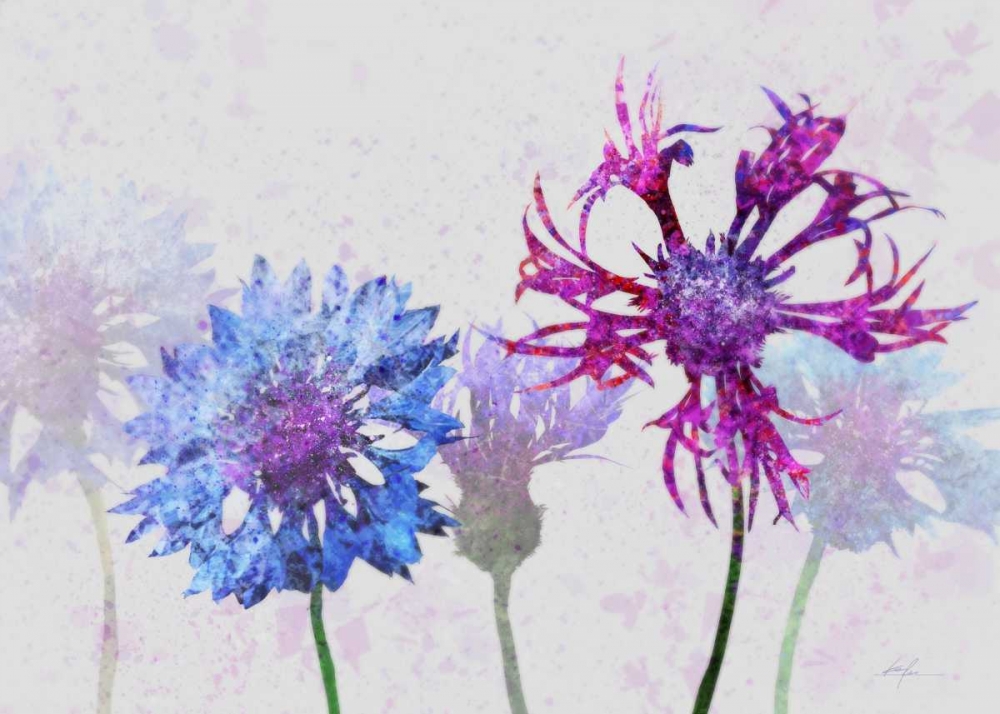 Wall Art Painting id:56526, Name: Colorful Cornflowers 2, Artist: Roko, Ken
