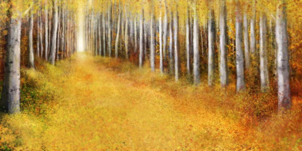 Wall Art Painting id:56558, Name: Yellow Path 2, Artist: Roko, Ken