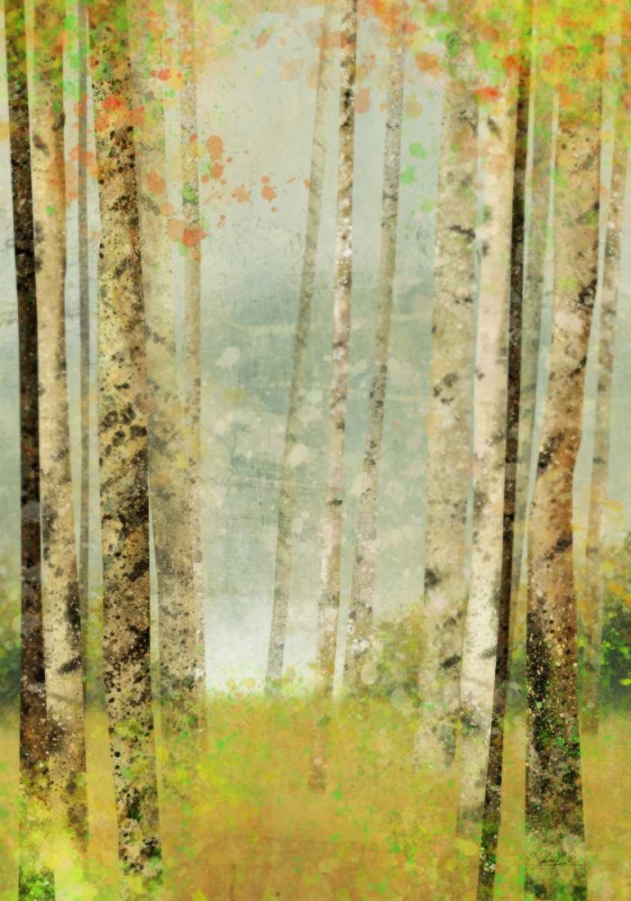 Art Print: Yellow Birch 2