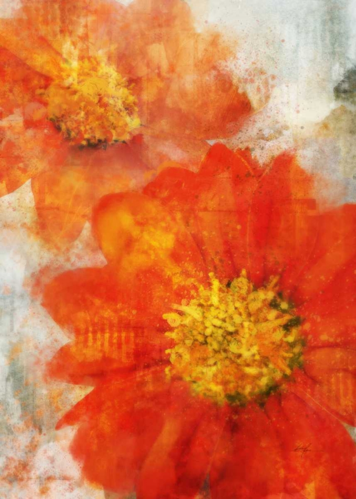 Wall Art Painting id:56609, Name: Tithonia Bloom 1, Artist: Roko, Ken