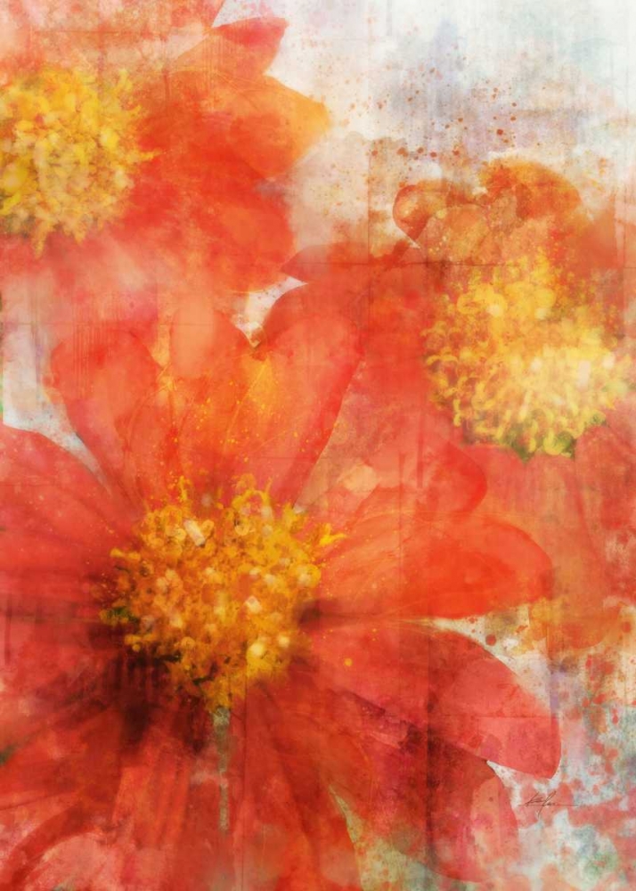 Wall Art Painting id:56610, Name: Tithonia Bloom 2, Artist: Roko, Ken